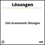 Dsh Grammatik Übungen Mit Lösungen
