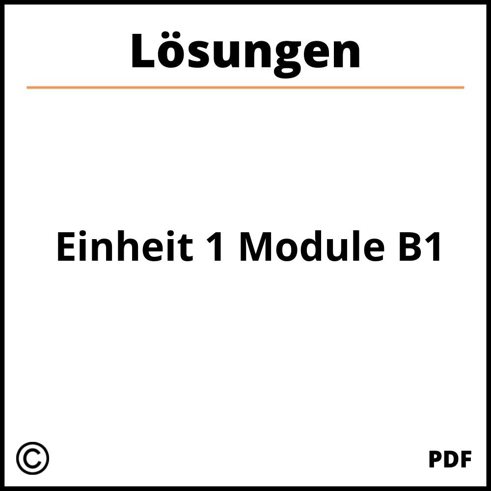 Einheit 1 Module B1 Lösungen