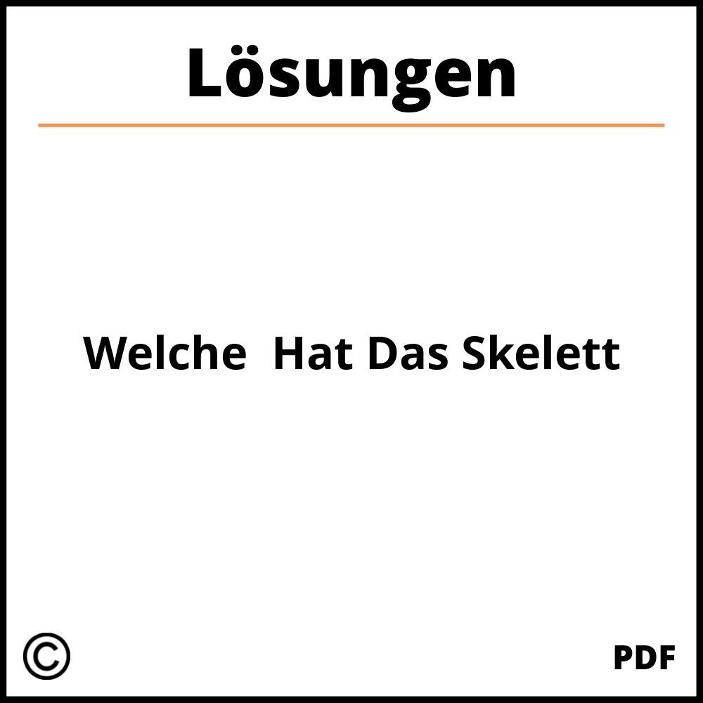 Welche Aufgaben Hat Das Skelett